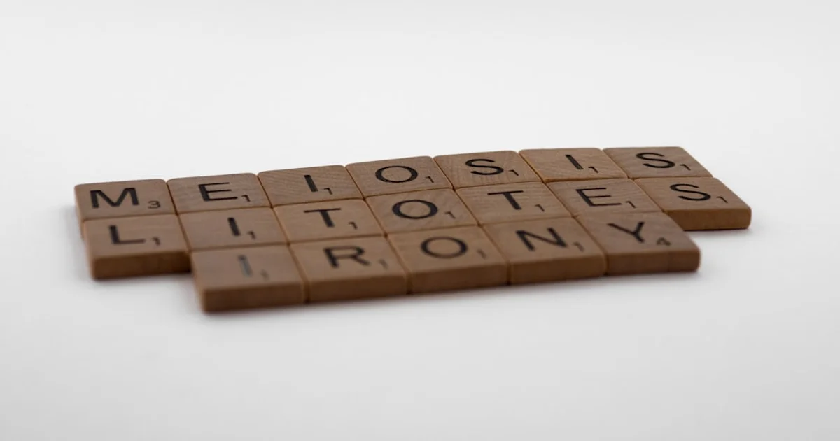 IELTS vs TOEFL: Which Test is Harder for University Admission?